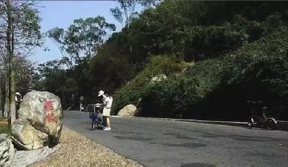 世界十大"怪坡"路段 打破物理学定律!